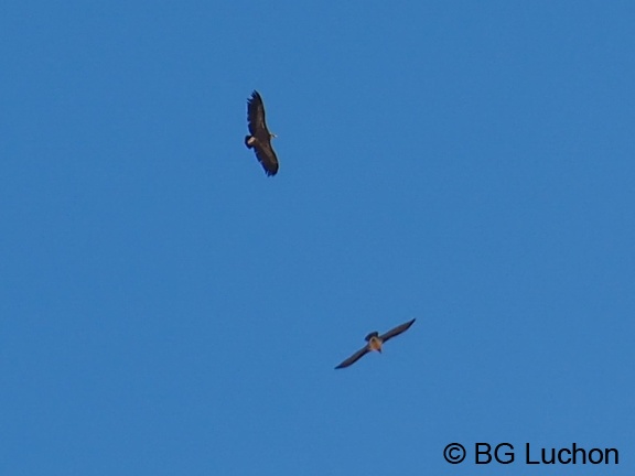 170310 BG Cap de la lite 58 (2093 visites) 170310 BG Cap de la lite 58