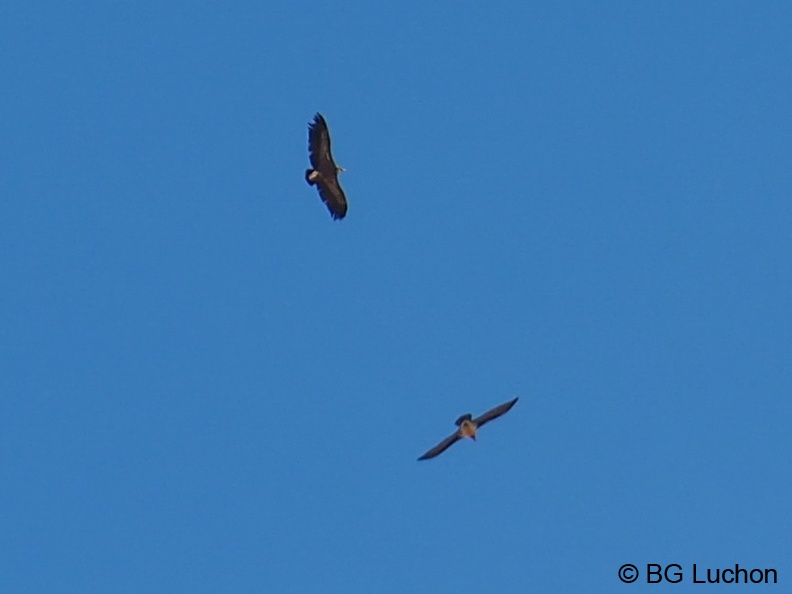 170310 BG Cap de la lite 58 (2053 visites) 170310 BG Cap de la lite 58