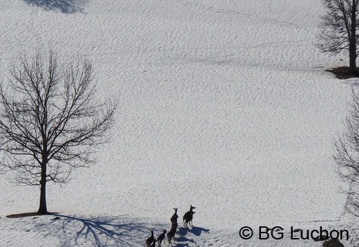 170218 BG Mayregne 73 (2938 visits) 170218 BG Mayregne 73