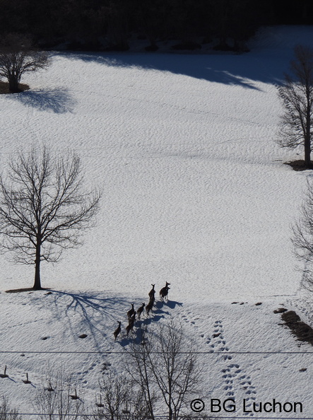 170218 BG Mayregne 73 - 170218 BG Mayregne_73.JPG 170218 BG Mayregne_73.JPG