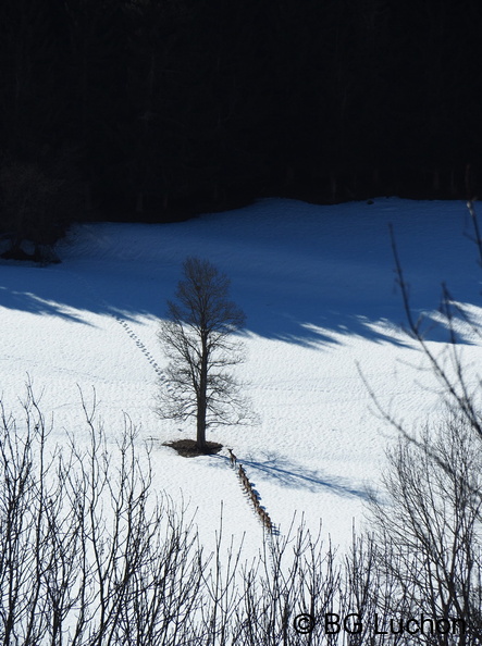 170218 BG Mayregne 78 - 170218 BG Mayregne_78.JPG 170218 BG Mayregne_78.JPG