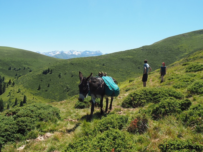 170716 AFDV Anes Tour Oueil espiau 15 (1842 visites) 170716 AFDV Anes Tour Oueil espiau 15