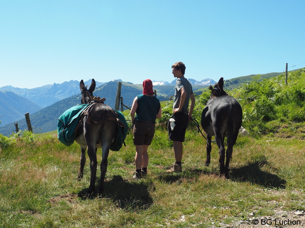170716 AFDV Anes Tour Oueil espiau 02 (1889 visites) 170716 AFDV Anes Tour Oueil espiau 02