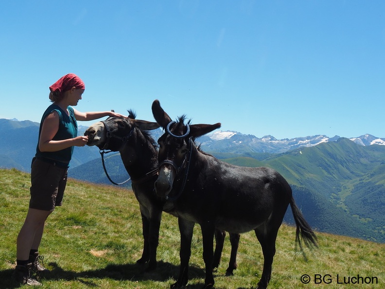 170716 AFDV Anes Tour Oueil espiau 10 (1882 visites) 170716 AFDV Anes Tour Oueil espiau 10