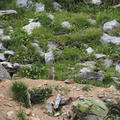 170718 AFDV Aneto_10.JPG