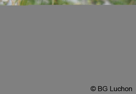 170718 AFDV Aneto 17 (1663 visits) 170718 AFDV Aneto 17