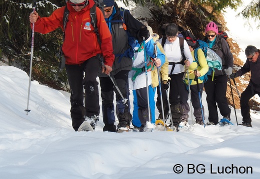 1801 BG Cap de la lite 12 (5207 visits) 1801 BG Cap de la lite 12