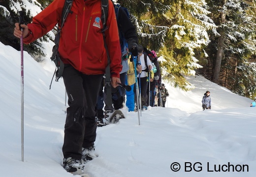 1801 BG Cap de la lite 13 (4808 visits) 1801 BG Cap de la lite 13