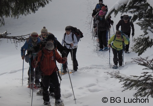1801 BG Cap de la lite 14 (5026 visits) 1801 BG Cap de la lite 14