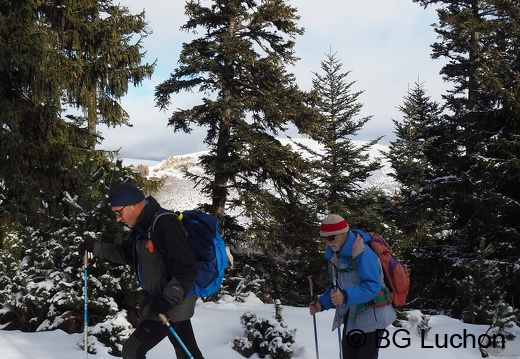 1801 BG Cap de la lite 31 (4571 visits) 1801 BG Cap de la lite 31