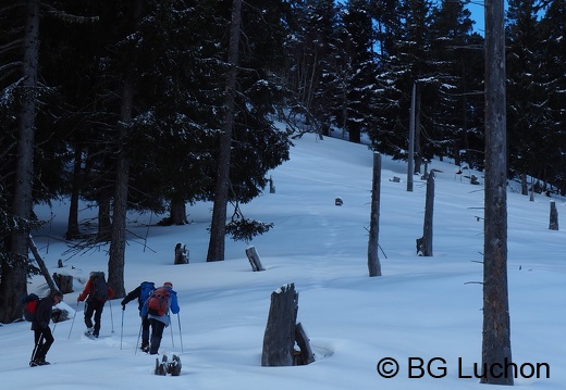 1801 BG Cap de la lite 35 (4568 visits) 1801 BG Cap de la lite 35