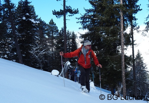 1801 BG Cap de la lite 41 (4461 visits) 1801 BG Cap de la lite 41