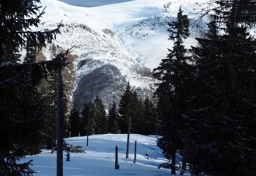 1801 BG Cap de la lite 44 (4746 visits) 1801 BG Cap de la lite 44
