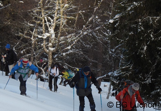 1801 BG Cap de la lite 45 (4292 visits) 1801 BG Cap de la lite 45