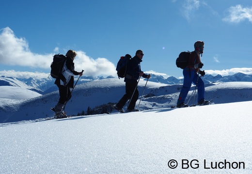 1801 BG Cap de la lite 59 (665 visits) 1801 BG Cap de la lite 59