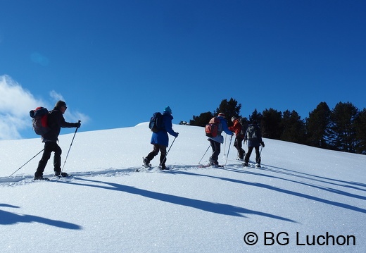 1801 BG Cap de la lite 60 (770 visits) 1801 BG Cap de la lite 60