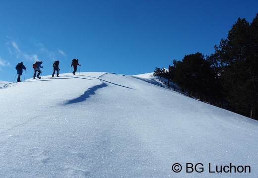 1801 BG Cap de la lite 72 (661 visits) 1801 BG Cap de la lite 72