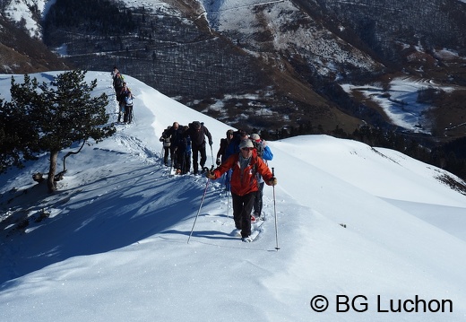 1801 BG Cap de la lite 78 (673 visits) 1801 BG Cap de la lite 78