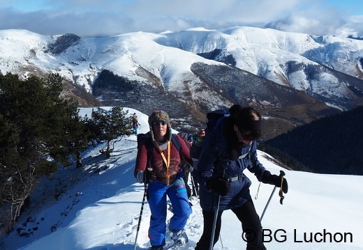 1801 BG Cap de la lite 81 (676 visits) 1801 BG Cap de la lite 81