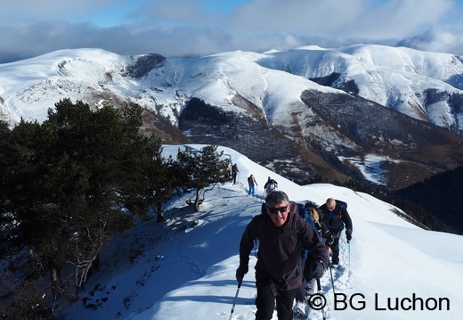 1801 BG Cap de la lite 82 (792 visits) 1801 BG Cap de la lite 82