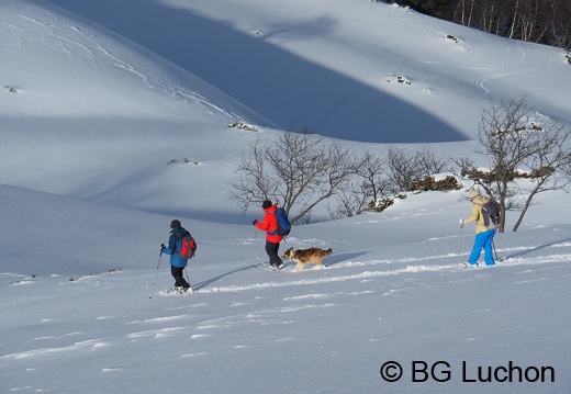 1801 BG Cap de la lite 142 (5378 visites) 1801 BG Cap de la lite 142