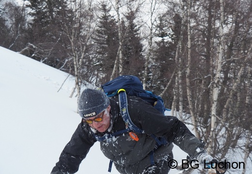 1801 BG Cap de la lite 161 (863 visits) 1801 BG Cap de la lite 161