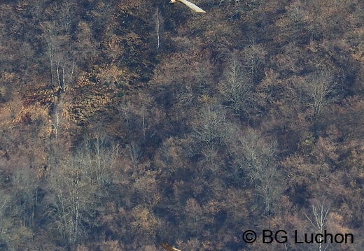 1801 BG Cabane du Bosc 00