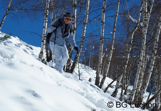 1801 BG Cabane Cunau 49 (9740 visits) 1801 BG Cabane Cunau 49