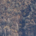 1801 BG Cabane du Bosc 01