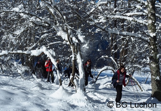 1801 BG Cabane Cunau 07 (897 visits) 1801 BG Cabane Cunau 07