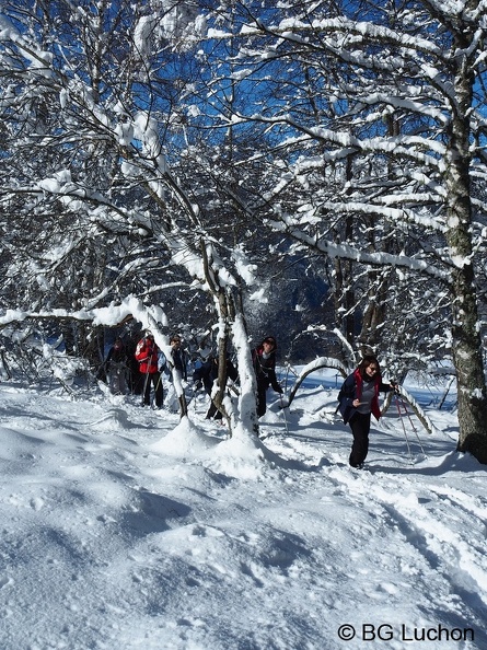 1801 BG Cabane Cunau_07.JPG