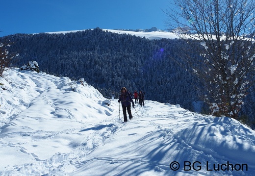1801 BG Cabane Cunau 22 (1022 visits) 1801 BG Cabane Cunau 22