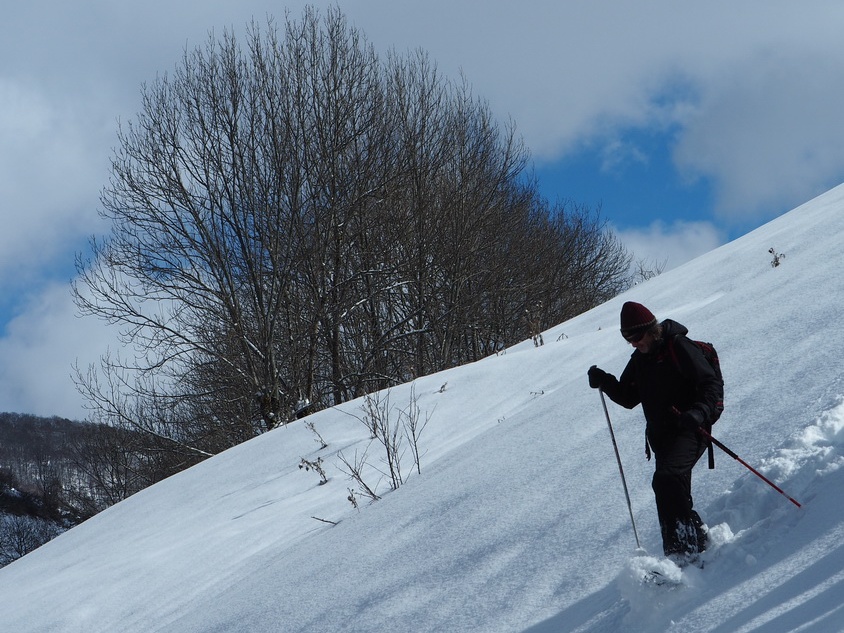1802 BG Bourg d'Oueil 08 (5373 visites) 1802 BG Bourg d'Oueil 08