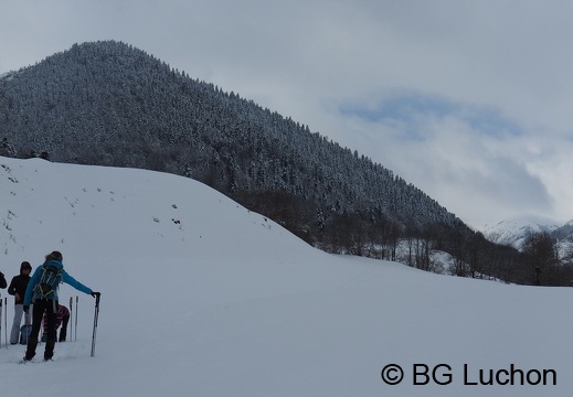 1802 BG Passejade Mayregne 45 (3289 visits) 1802 BG Passejade Mayregne 45