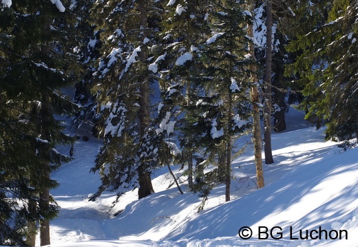 1802 BG cap de la lite 01 (946 visits) 1802 BG cap de la lite 01