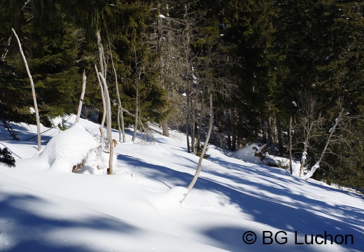 1802 BG cap de la lite 03 (1026 visits) 1802 BG cap de la lite 03
