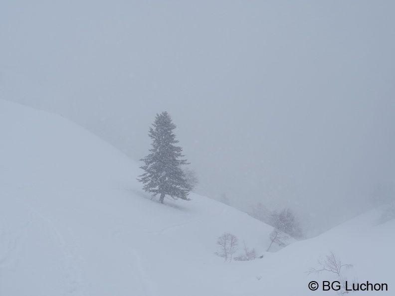 1802 BG Mont né 04 (5712 visites) 1802 BG Mont né 04