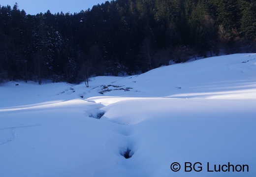 1802 BG cap de la lite 28 (891 visits) 1802 BG cap de la lite 28
