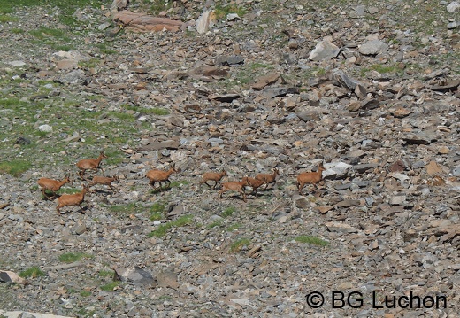 1808 BG Hourgade 36 (1311 visits) 1808 BG Hourgade 36