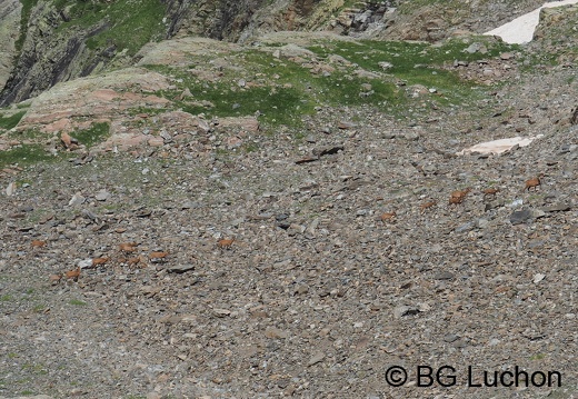 1808 BG Hourgade 38 (1217 visits) 1808 BG Hourgade 38