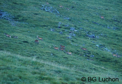 1809 BG Hourgade 09 (1128 visits) 1809 BG Hourgade 09