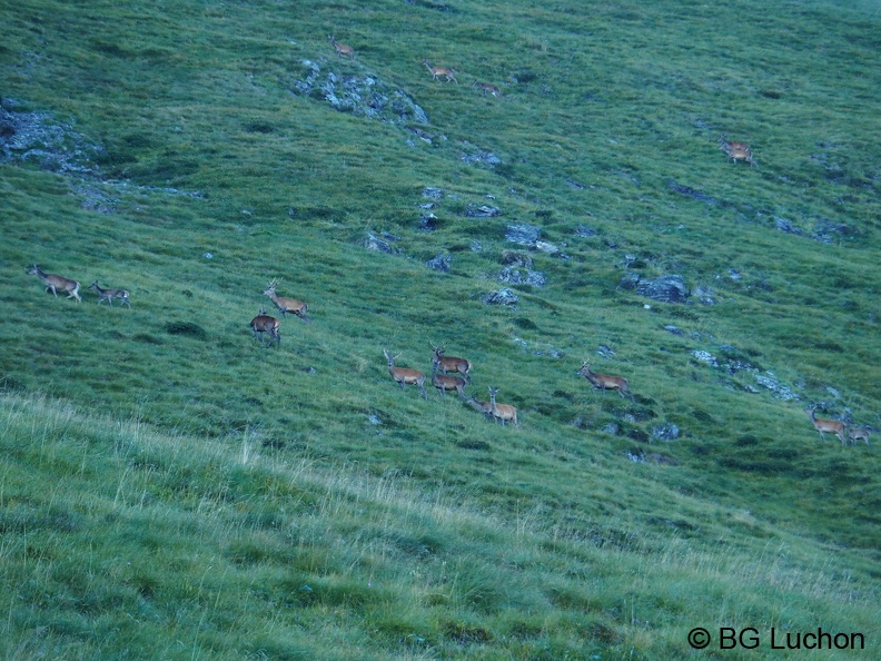 1809 BG Hourgade 09