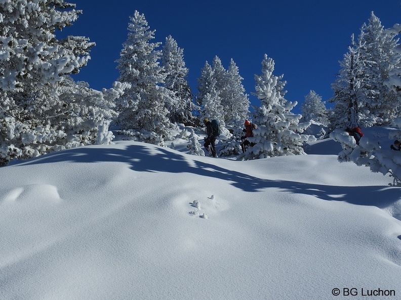 1901 BG Baciver_08.JPG