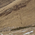 1901 BG Cabane du Mouscadet_05.JPG