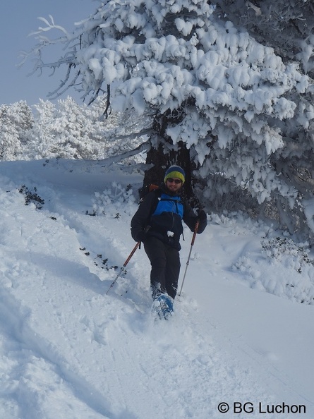 1901 BG Baciver_29.JPG