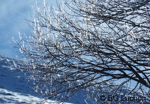 1901 BG Col de Barege 03 (1714 visits) 1901 BG Col de Barege 03