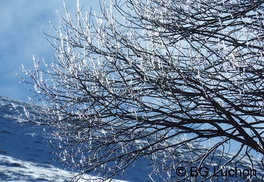 1901 BG Col de Barege 03