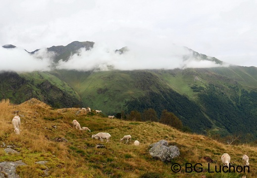 Article 2008 Randonnée Cirque des Crabioules 06