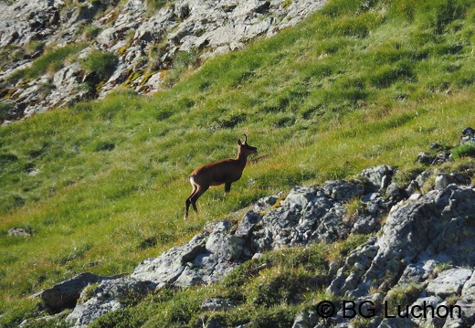 Article 2008 Randonnée Cirque des Crabioules 22