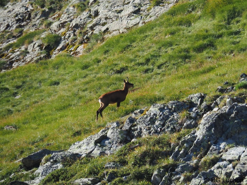 Article_2008_Randonnée_Cirque des Crabioules_22.JPG